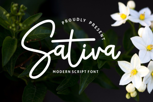 Elevate Your Campaigns with Sativa: A Premium Handwritten Font