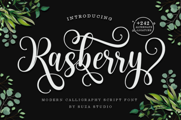 Perfecting Your Campaign with Rasberry Font