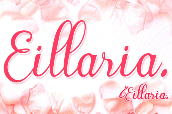 Transform Your Brand with Eillaria: A Charming Script Font