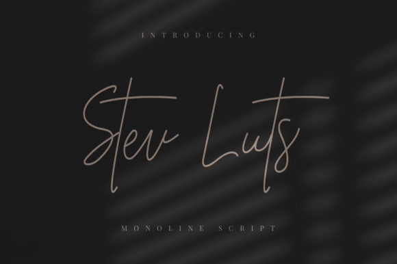 Transform Your Brand with Stev Luts: A Premium Script Font