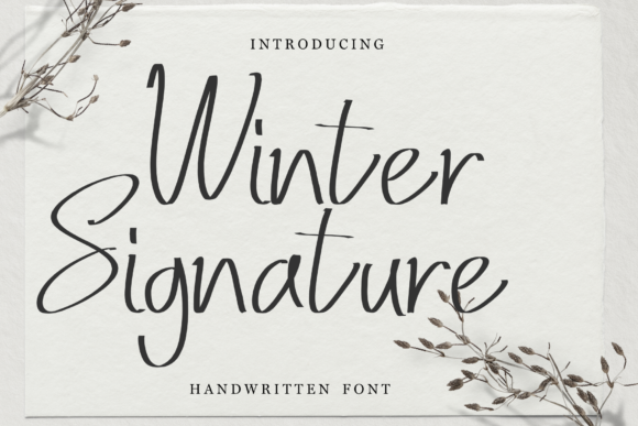 Winter Signature: A Font for Elegant Branding
